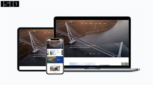 深圳電商網站建設